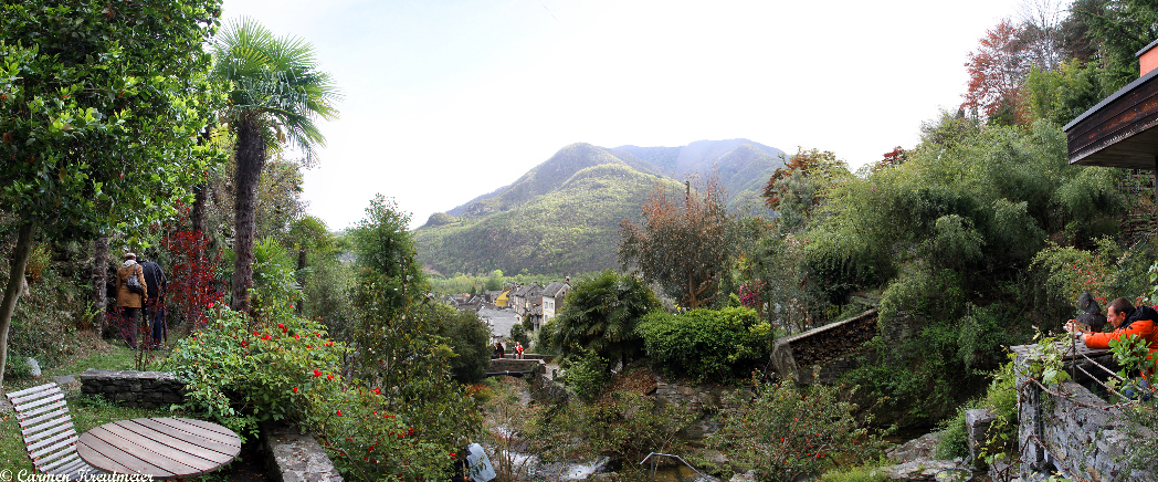 Garten Dr. Walder (Foto Carmen Kreutmeier)