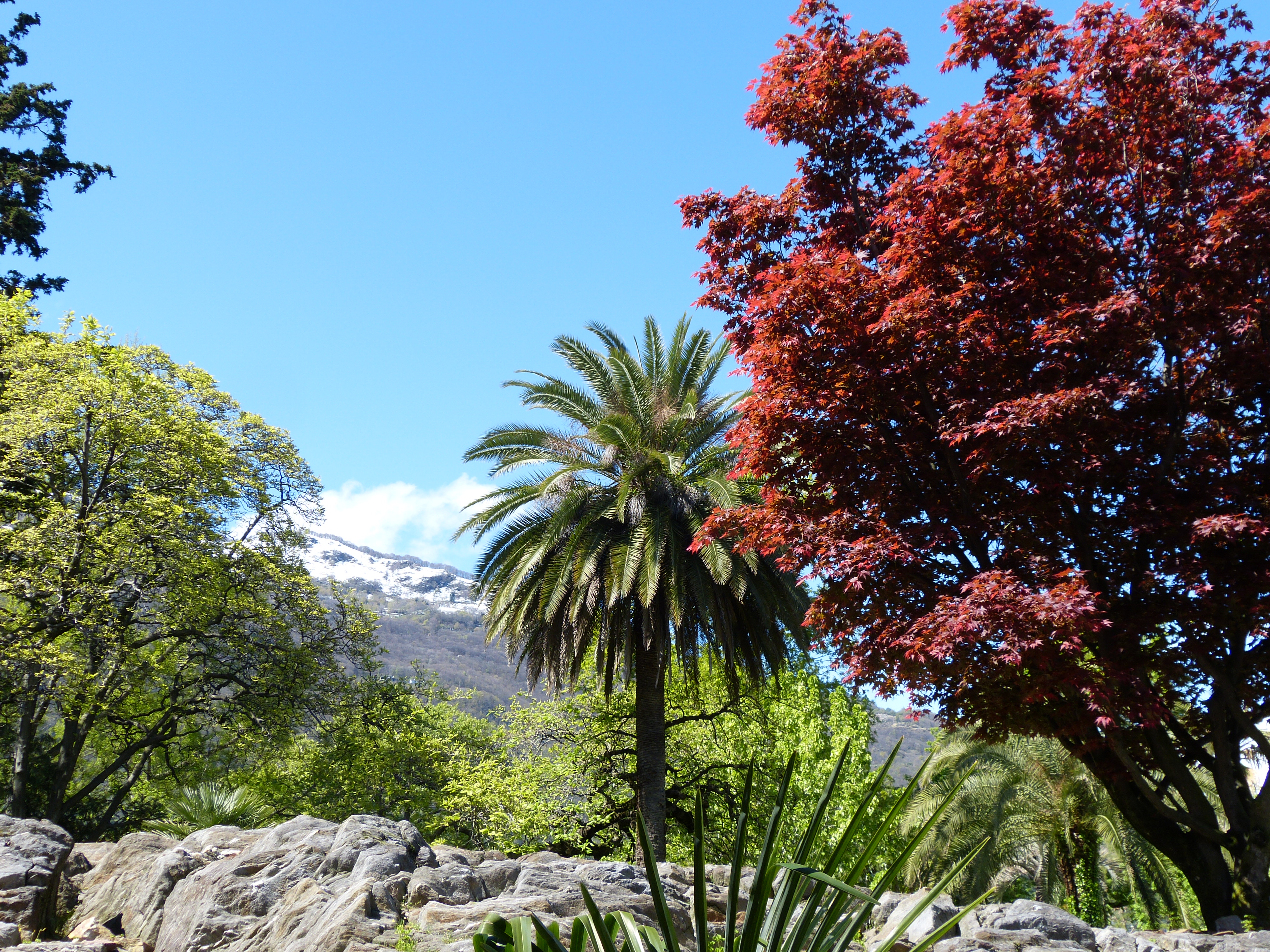 Isola di Brissago (Foto Ute Außem)