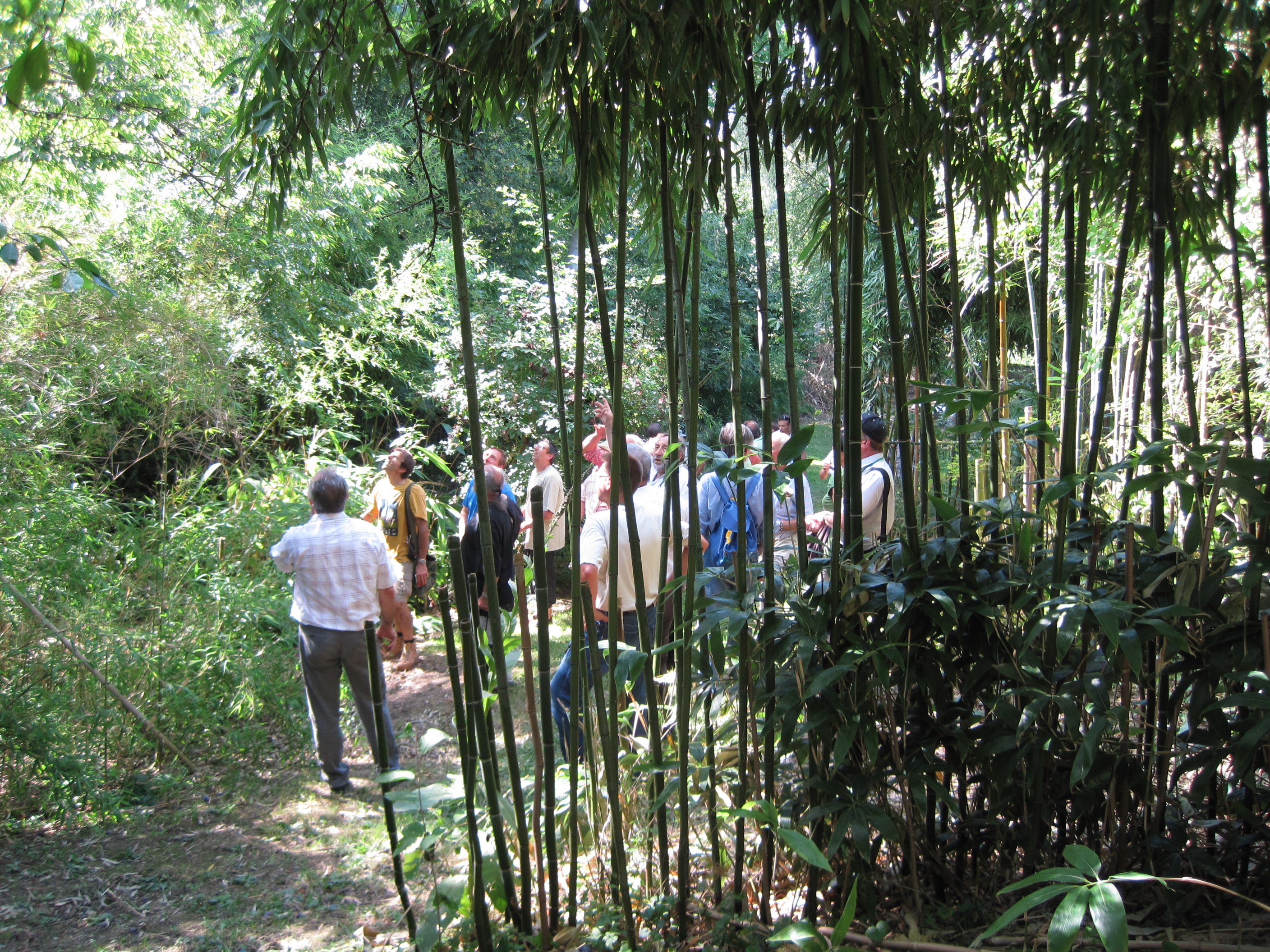 Arboretum Aubonne (Foto: Jürgen Schmitz)