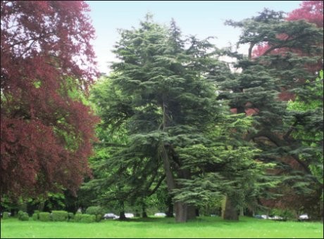 EBS Reise 2009